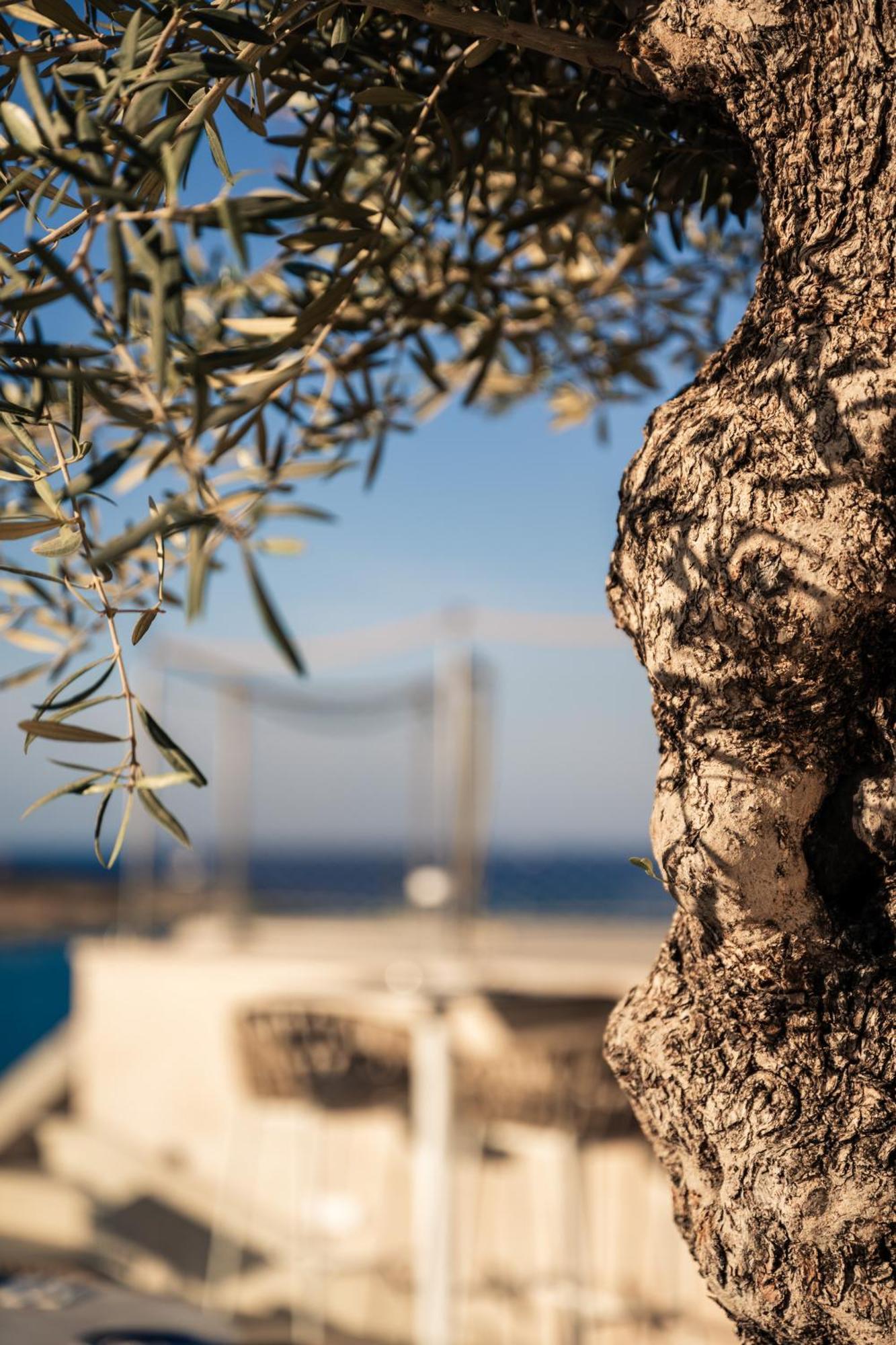 XVI Suites - Adults Only Naxxar Buitenkant foto